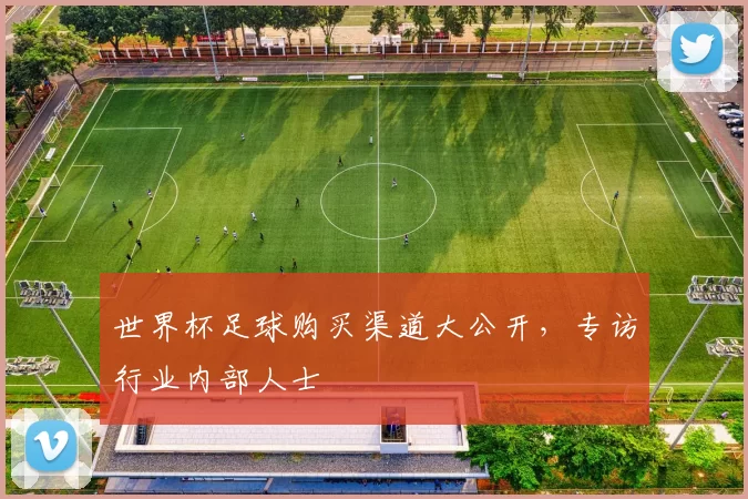 世界杯足球购买渠道大公开,专访行业内部人士