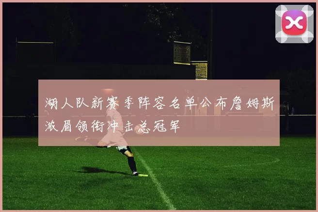 湖人队新赛季阵容名单公布詹姆斯浓眉领衔冲击总冠军