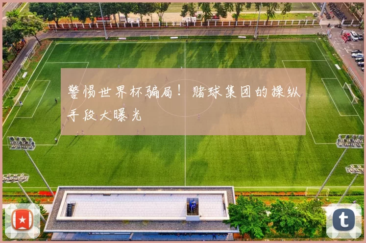 警惕世界杯骗局！赌球集团的操纵手段大曝光