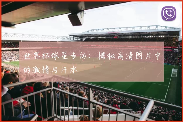 世界杯球星专访：揭秘高清图片中的激情与汗水