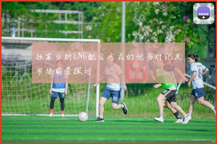 独家分析LNG配合方式的优劣对比及市场前景探讨