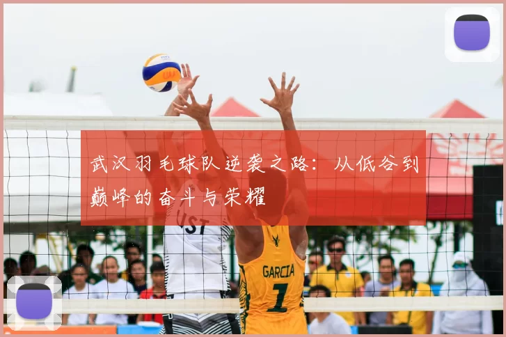 武汉羽毛球队逆袭之路:从低谷到巅峰的奋斗与荣耀