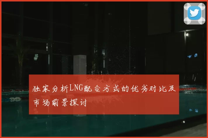独家分析LNG配合方式的优劣对比及市场前景探讨