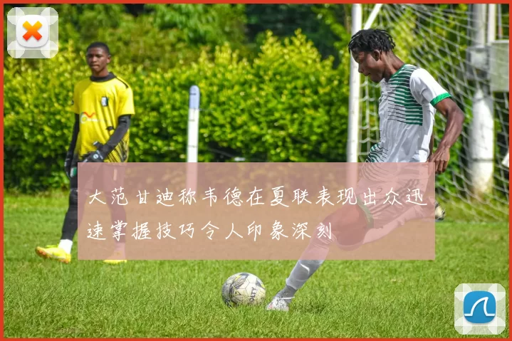 大范甘迪称韦德在夏联表现出众迅速掌握技巧令人印象深刻