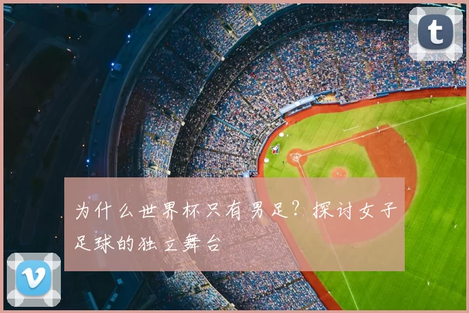 为什么世界杯只有男足?探讨女子足球的独立舞台