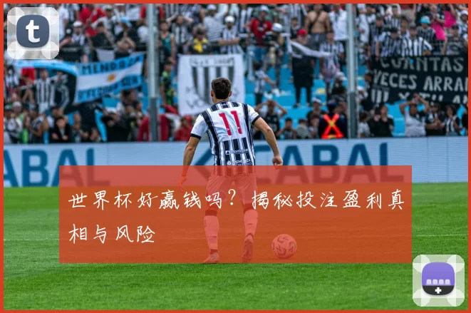 世界杯好赢钱吗?揭秘投注盈利真相与风险