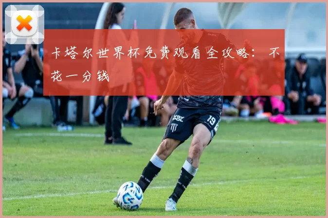 卡塔尔世界杯免费观看全攻略：不花一分钱