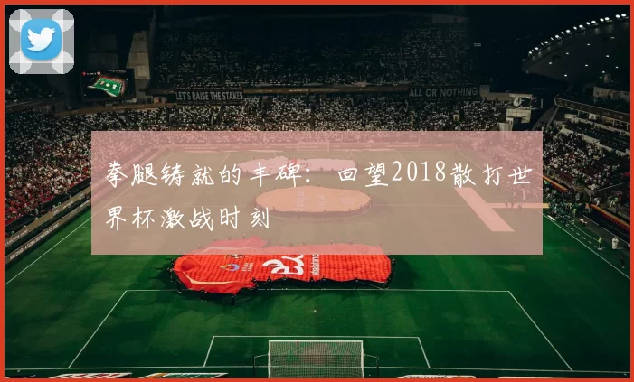 拳腿铸就的丰碑:回望2018散打世界杯激战时刻