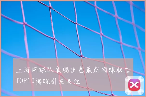 上海网球队表现出色最新网球状态TOP10揭晓引发关注