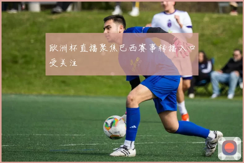 欧洲杯直播聚焦巴西赛事转播入口受关注
