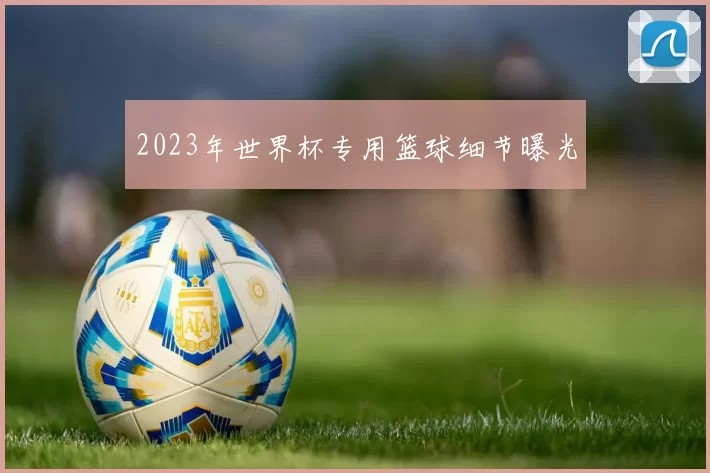 2023年世界杯专用篮球细节曝光