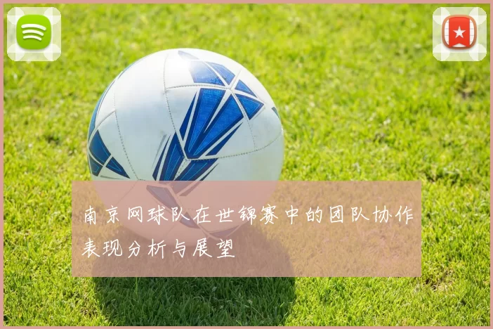 南京网球队在世锦赛中的团队协作表现分析与展望