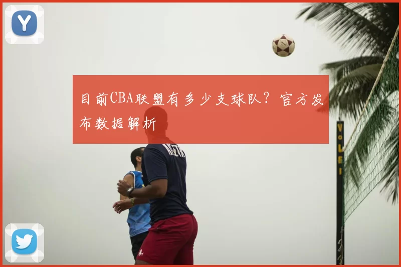 目前CBA联盟有多少支球队？官方发布数据解析
