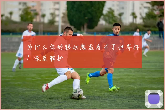为什么你的移动魔盒看不了世界杯?深度解析
