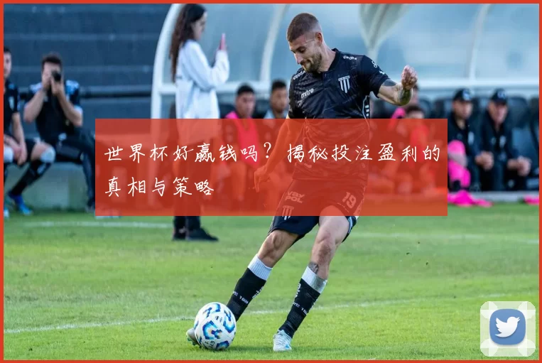世界杯好赢钱吗?揭秘投注盈利的真相与策略