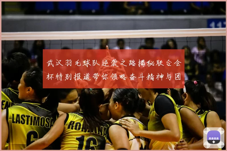 武汉羽毛球队逆袭之路揭秘联合会杯特别报道带你领略奋斗精神与团队力量