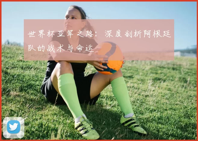 世界杯亚军之路:深度剖析阿根廷队的战术与命运