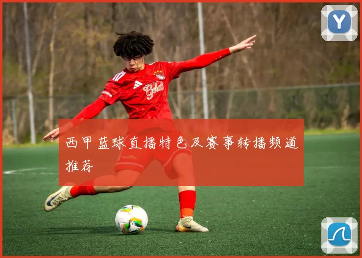 西甲蓝球直播特色及赛事转播频道推荐